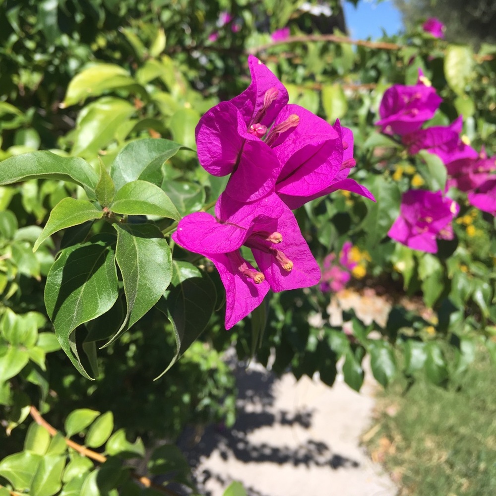 Meet your Posher, Nilly